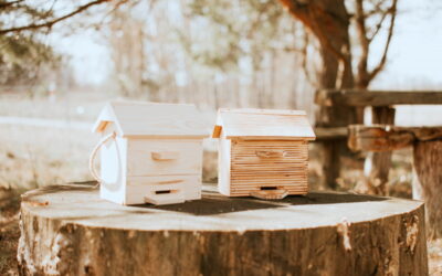 Domek dla trzmieli – praktyczny zestaw miodów i produktów pszczelich