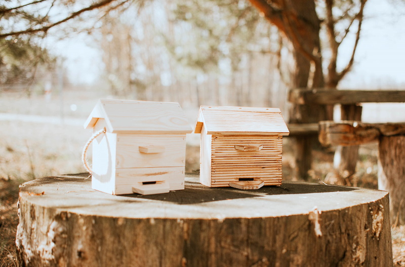 Domek dla trzmieli – praktyczny zestaw miodów i produktów pszczelich