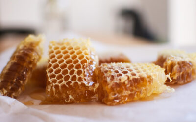 Miód w plastrze – naturalny skarb prosto z ula